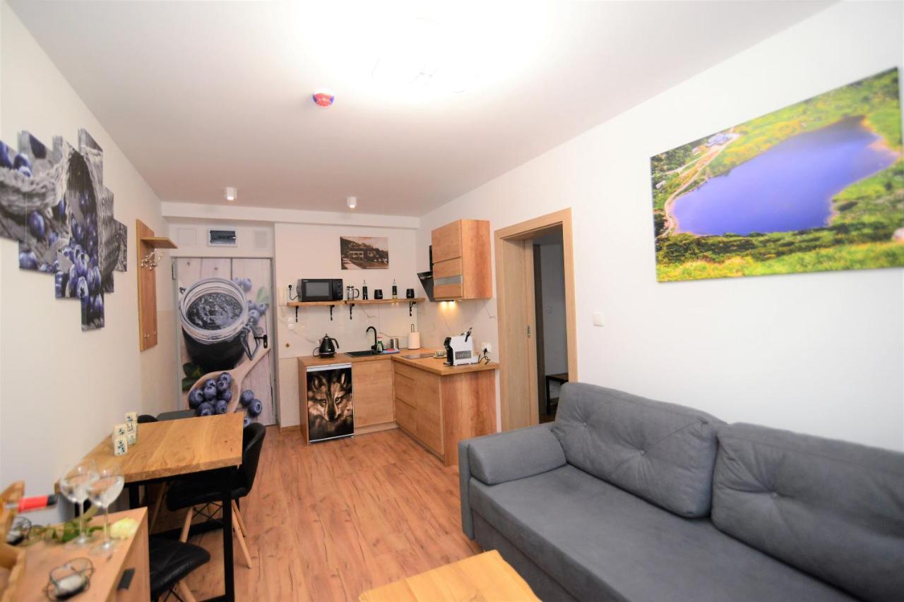 Apartament De Luxe Emily Karpacz Dış mekan fotoğraf